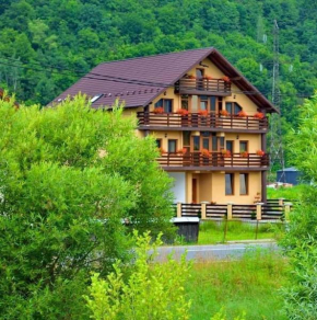 Casa Vădeanu